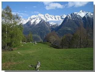Prati sopra Dasile. Foto di M. Dei Cas