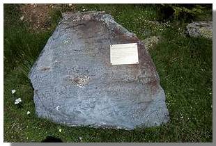 Gabbro ad anfibolo. Foto di M. Dei Cas