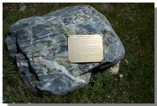 Anfibolite epidotica. Foto di M. Dei Cas