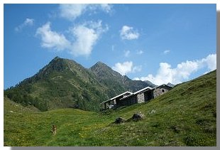 L'alpe Piazza. Foto di M. Dei Cas