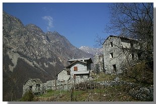 Cii. Foto di M. Dei Cas
