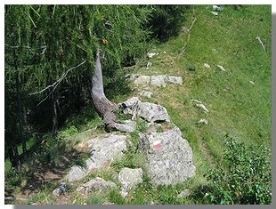 La forcella di Frasnedo. Foto di M. Dei Cas