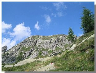 Sentiero in Val Romilla. Foto di M. Dei Cas