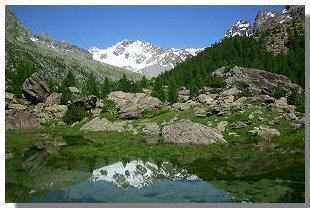 Il monte Disgrazia. Foto di M. Dei Cas