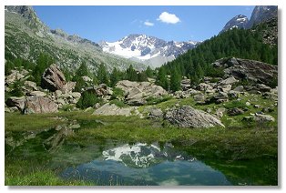 Il monte Disgrazia si specchia in una pozza che precede la piana di Preda Rossa (foto M.Dei Cas)