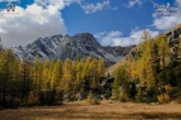 Nei pressi del rifugio Bosio (foto R. Ganassa)