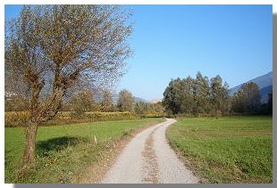 La strada sterrata in localit&agrave; Valle di Colorina. Foto di M. Dei Cas