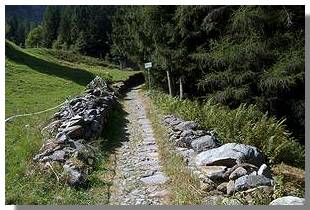 La Via del Bitto poco sopra Gerola. Foto di M. Dei Cas