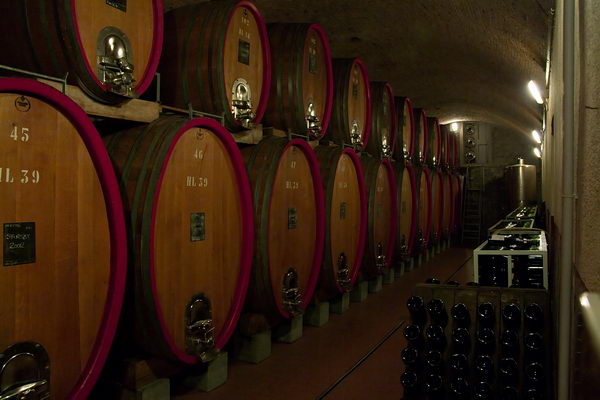 Botti presso le Cantine Negri (foto R. Moiola) Botti presso le Cantine Negri (foto R. Moiola)