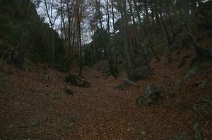 Bocchetta Alfaedo