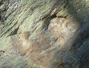 Le impronte del pugno di Gesù Bambino (sinistra) e della mano del diavolo. Foto di M.  Dei Cas