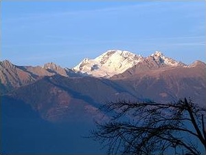 Il monte Disgrazia visto dai boschi sotto il Pitalone. Foto di M.  Dei Cas
