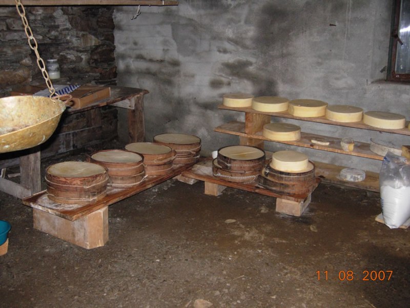 Il vero formaggio Bitto