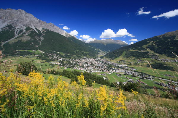 Vista panoramica su Bormio (foto R. Moiola) Vista panoramica su Bormio (foto R. Moiola)