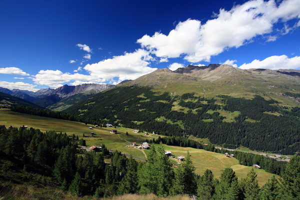 Panoramica della Valfurva (foto R. Moiola) Panoramica della Valfurva (foto R. Moiola)