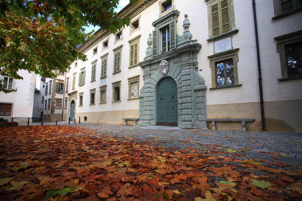 Veduta esterna del Palazzo Sertoli Salis a Tirano (foto R. Moiola) Veduta esterna del Palazzo Sertoli Salis a Tirano (foto R. Moiola)