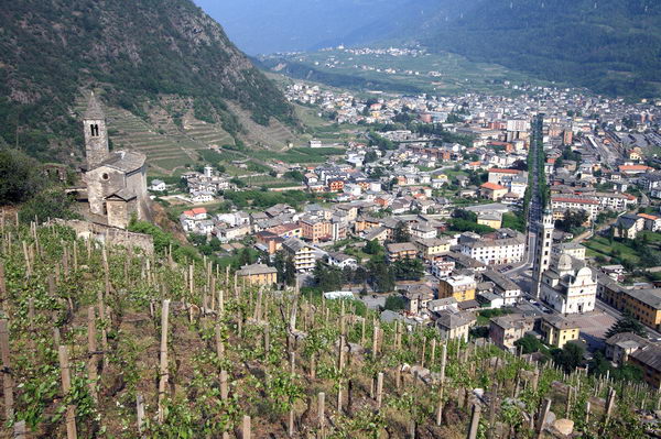 Veduta panoramica sull'abitato di Tirano (foto R. Moiola) Veduta panoramica sull'abitato di Tirano (foto R. Moiola)